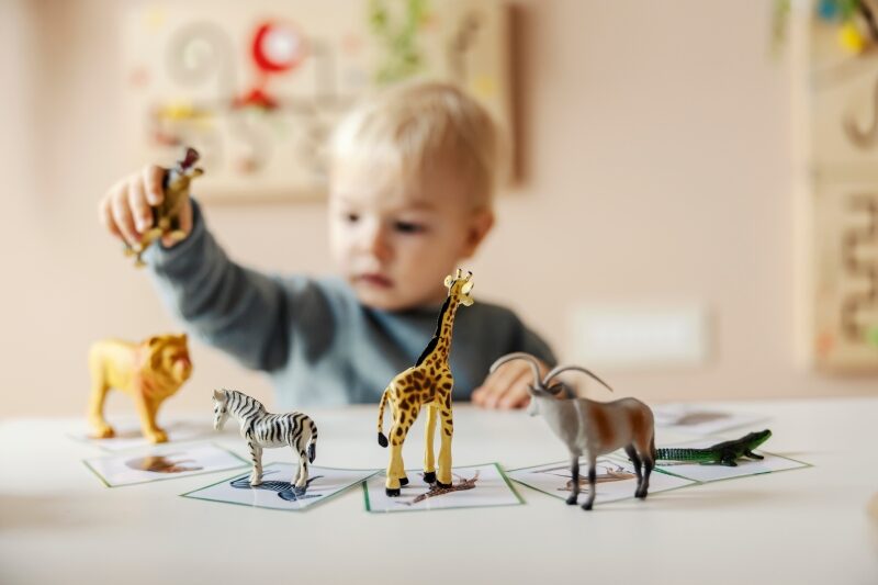 A little boy is learning animals by playing with montessori toys in kindergarten.